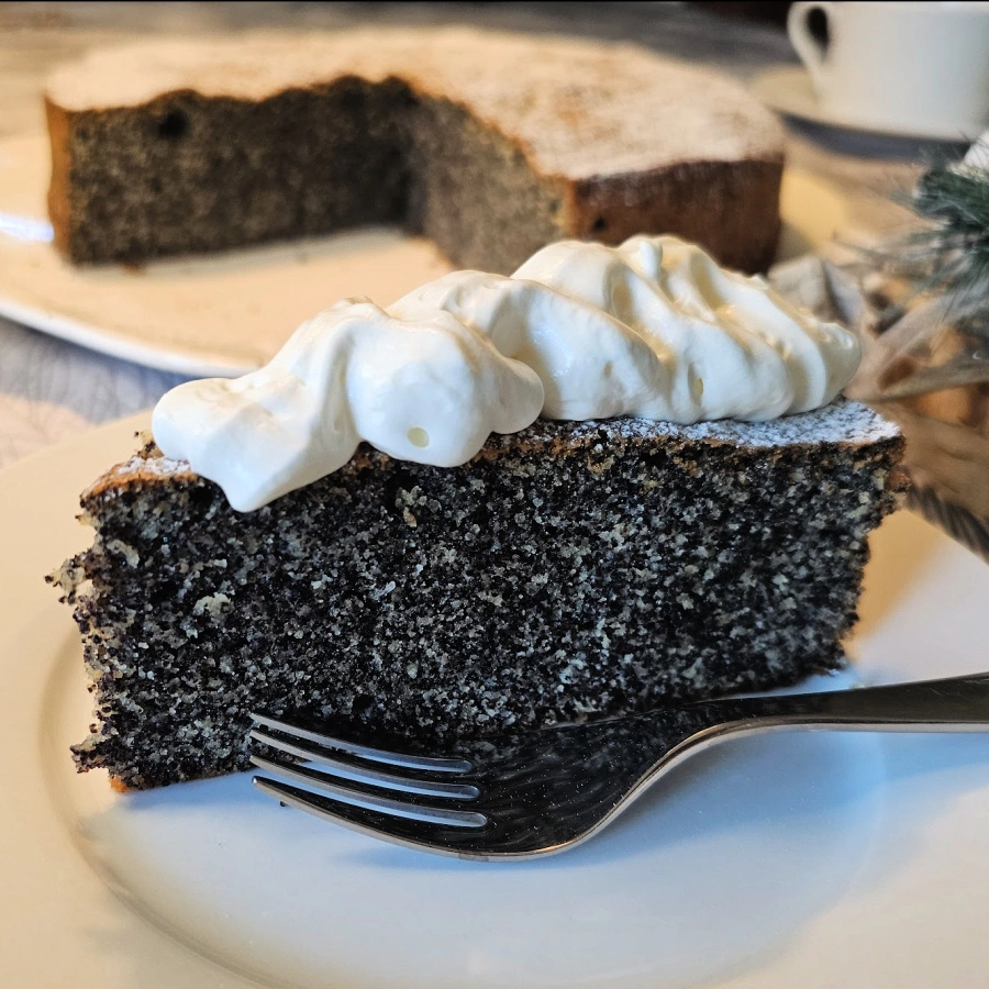 a piece of poppy seed cake with whipped cream